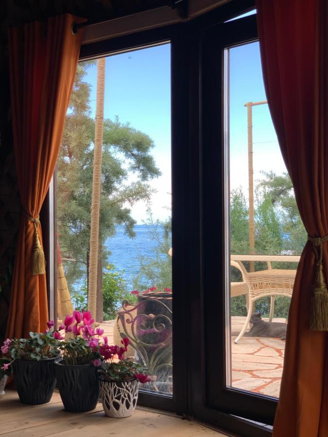 Tossor Ak-Tengir Yurt Resort מראה חיצוני תמונה