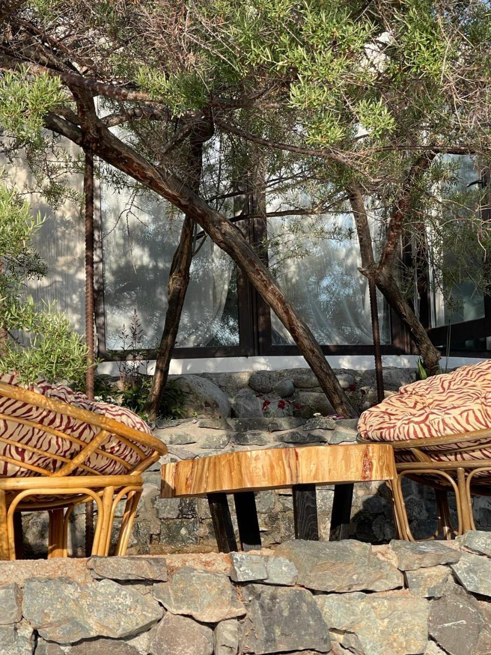 Tossor Ak-Tengir Yurt Resort מראה חיצוני תמונה