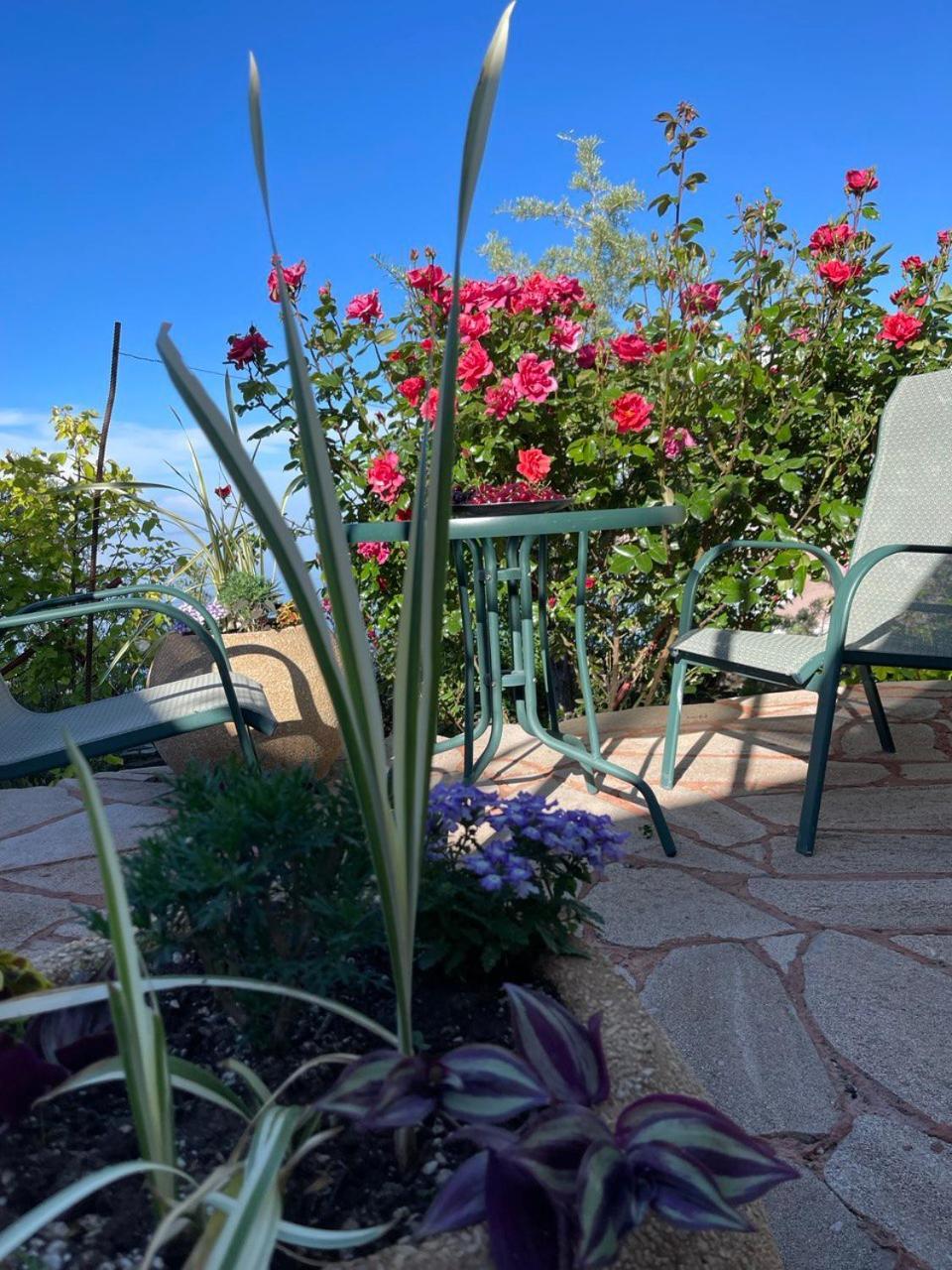 Tossor Ak-Tengir Yurt Resort מראה חיצוני תמונה